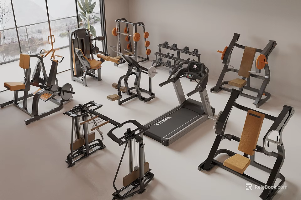 Modern Gym Sports Equipment Including Treadmill Weight Benches Strength Training Machines And Dumbbell Racks 3d model 