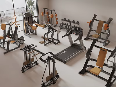 Modern Gym Sports Equipment Including Treadmill Weight Benches Strength Training Machines And Dumbbell Racks 3d model
