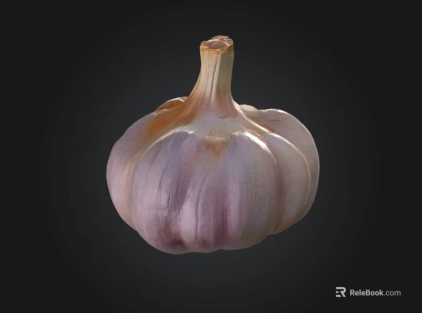 Fresh Garlic Bulb with Purple and White Stripes Isolated on Black Background 3d model 