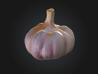 Fresh Garlic Bulb with Purple and White Stripes Isolated on Black Background 3d model