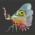Colorful Mantis With Vibrant Wings And Eye Patterns On Black Background