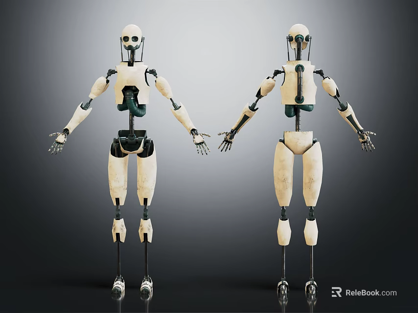 Two Humanoid Robots With Mechanical Joints White Black Exterior Standing Posture 3d model 