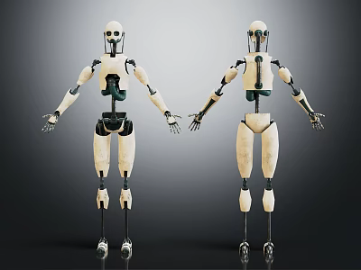 Two Humanoid Robots With Mechanical Joints White Black Exterior Standing Posture 3d model