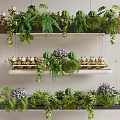 Natural Decorative Hanging Plant Shelves With Green Ferns Purple Flowers And Wooden Racks