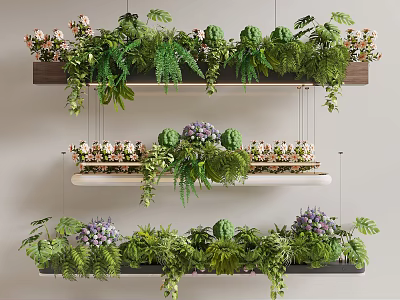 Natural Decorative Hanging Plant Shelves With Green Ferns Purple Flowers And Wooden Racks 3d model