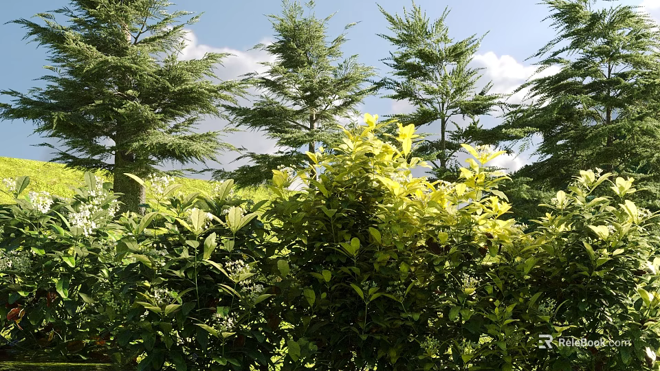 Lush Green And Yellow Shrubs Growing In Sunlit Garden With Tall Trees 3d model 
