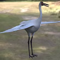 Majestic White Crane With Spread Wings Standing On Green Grassland