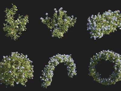 Various Types of Shrubs with Green Leaves and White Purple Flowers in Different Shapes 3d model
