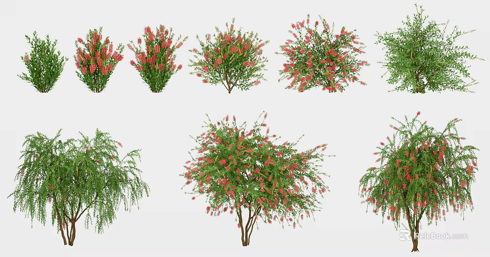 Various Flowering Shrubs And Trees With Red Blooms And Green Foliage For Garden Decoration 3d model 