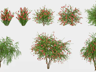 Various Flowering Shrubs And Trees With Red Blooms And Green Foliage For Garden Decoration 3d model