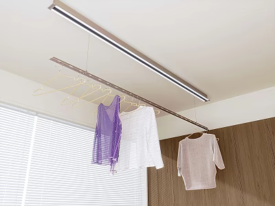 Ceiling Mounted Hanger With Purple White And Beige Clothes Hanging Near Window And Wooden Wall 3d model