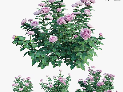 Charming Garden Ornament Featuring Pink Roses and Lush Green Leaves 3d model