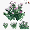 Charming Garden Ornament Featuring Pink Roses and Lush Green Leaves