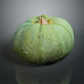 Organic Green Pumpkin Vegetable Fresh Ripe Single with Smooth Texture on Dark Background 3d model