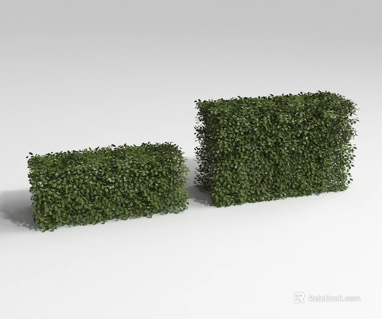 Two Green Rectangular Bushes With Lush Foliage On White Background 3d model 