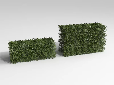 Two Green Rectangular Bushes With Lush Foliage On White Background 3d model
