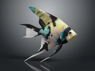 Vibrant Angelfish with Colorful Body and Large Wing Like Fins Swimming Gracefully on Dark Background 3d model
