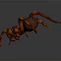 Orange Spider with Large Body and Jointed Legs on Gray Background