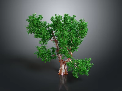 Healthy Green Tree With Lush Foliage And Brown Trunk On Dark Background 3d model