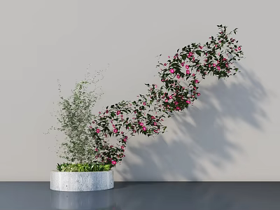 Spiral Green Foliage Bonsai Potted Plant With Pink Flowers Small Green Plant In White Pot 3d model
