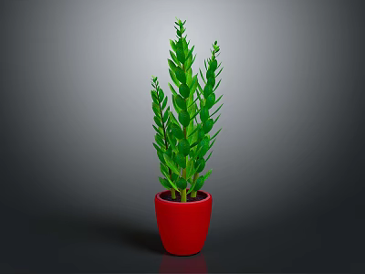 Fresh Green Leafy Plant in Red Pot for Indoor Home Decoration 3d model