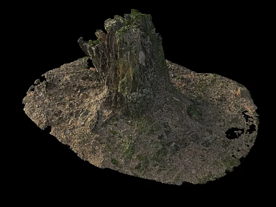 Natural Wooden Stump Surrounded by Stone Earth and Green Moss 3d model