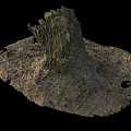 Natural Wooden Stump Surrounded by Stone Earth and Green Moss