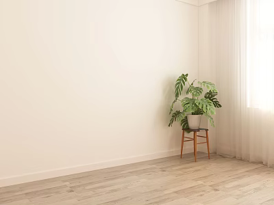 Bonsai Plant in Corner with Light Wall Wooden Floor on Small Stool near Window Curtain 3d model