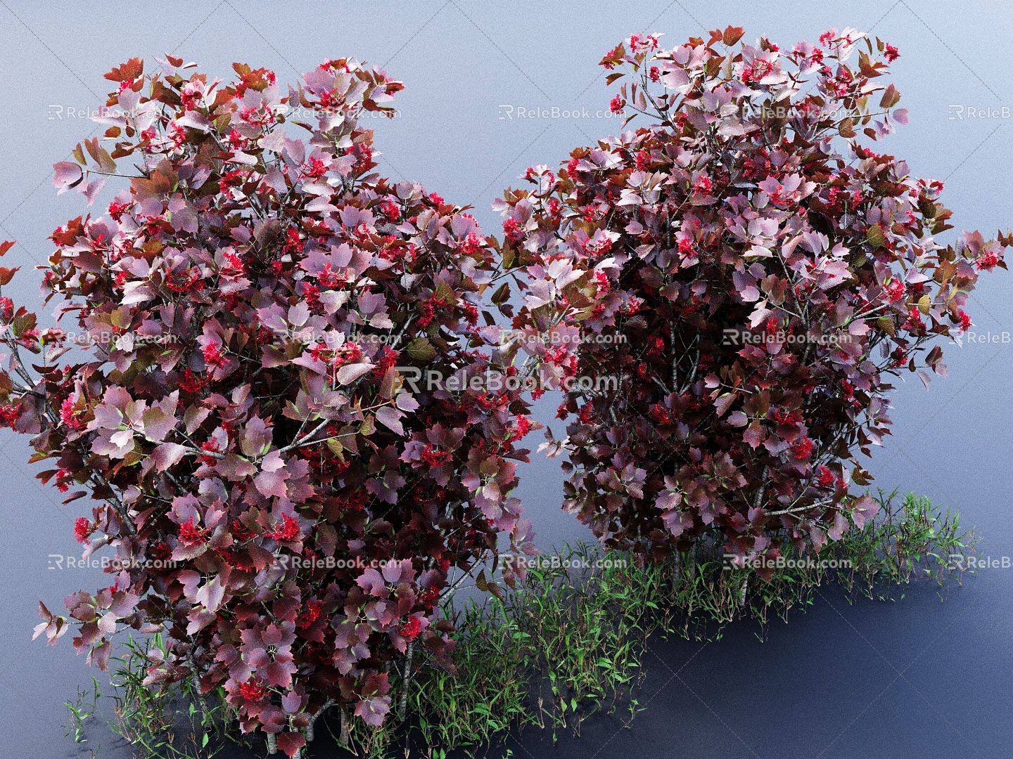 Gelder Rose Hydrangea Snowball Viburnum Network Snowball Shrub Green Plant 3D Model 3d model