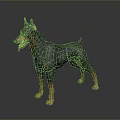 Black and Tan Doberman Standing with Tongue Out on Gray Background Shiny Floor