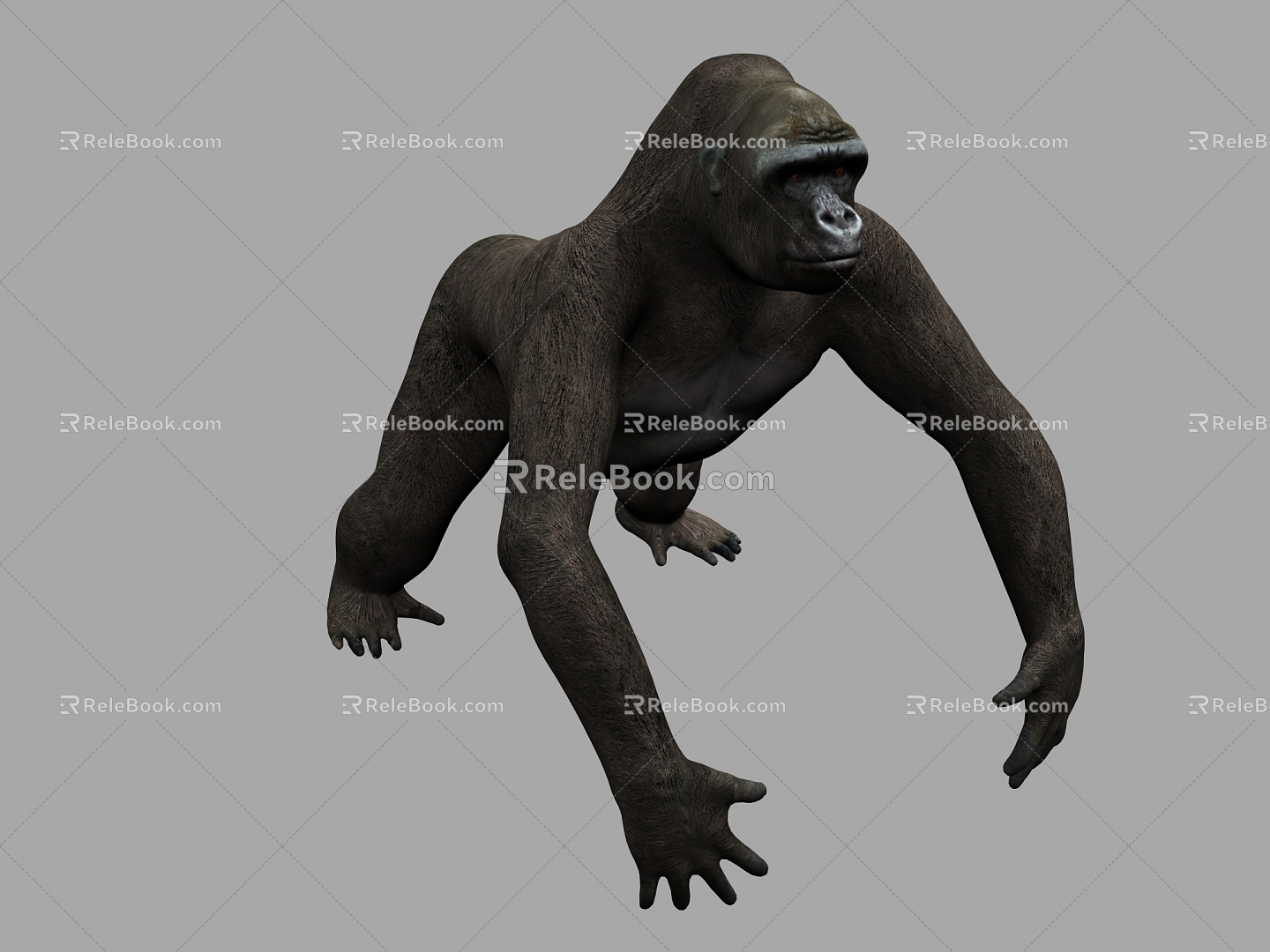 Orangutan 3d model