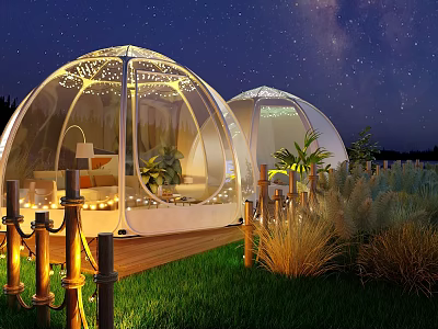 Garden Landscape with Transparent Dome Tents Starry Sky Lighting Wooden Deck and Grass at Night 3d model