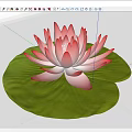 Beautiful Pink Lotus Flower With Delicate Petals On Green Lily Pad