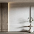 Modern Interior With Wooden Cabinet White Wall Decorative Panels And Green Plant On Table