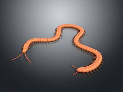 Orange Decorative Centipede Shaped Figurine For Home Living Room Decoration 3d model