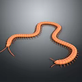 Orange Decorative Centipede Shaped Figurine For Home Living Room Decoration