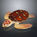 Reptile Sea Turtle With Glossy Red Orange Shell And Intricate Pattern On Reflective Dark Background