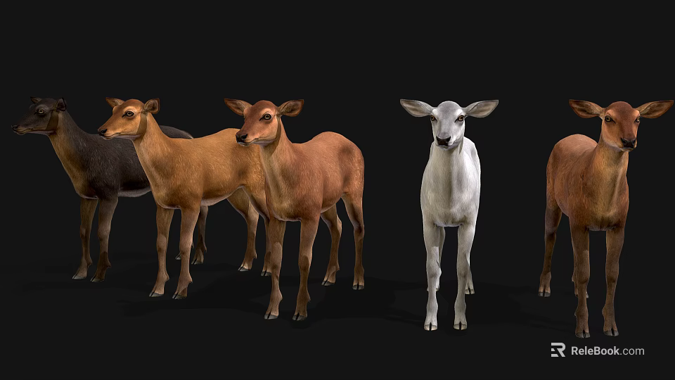 Group of Deer in Various Colors Standing Together on Black Background 3d model 