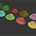 Colorful Mollusk Shells Displaying Various Patterns And Natural Textures On Dark Surface