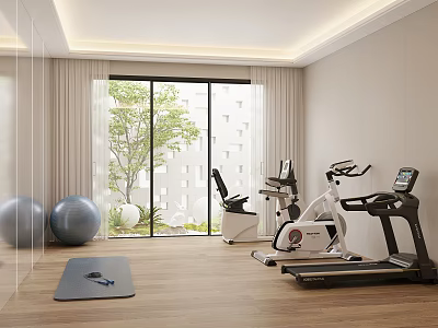 Home Entertainment Room Interior With Fitness Equipment Exercise Balls Yoga Mat And Green Trees 3d model