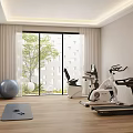 Home Entertainment Room Interior With Fitness Equipment Exercise Balls Yoga Mat And Green Trees