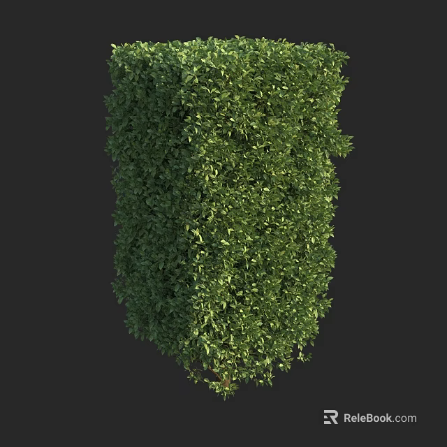 Tall Arbor With Lush Green Foliage For Outdoor Garden Landscape Design 3d model 