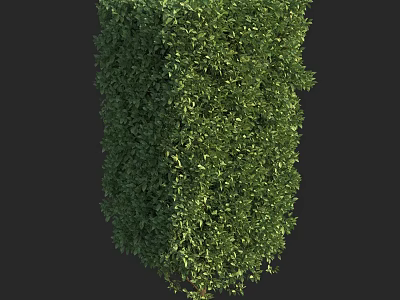 Tall Arbor With Lush Green Foliage For Outdoor Garden Landscape Design 3d model