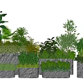 Various Bonsai Potted Plants With Lush Green Foliage And Stone Planters