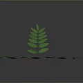 Green Leaves Collection With Various Sizes And Shapes On Dark Background