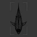 Low Poly Shark 3D Model Featuring Geometric Design And Open Mouth