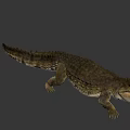 Game Movie Character Crocodile 3D Model With Open Mouth And Crawling Pose On Gray Background