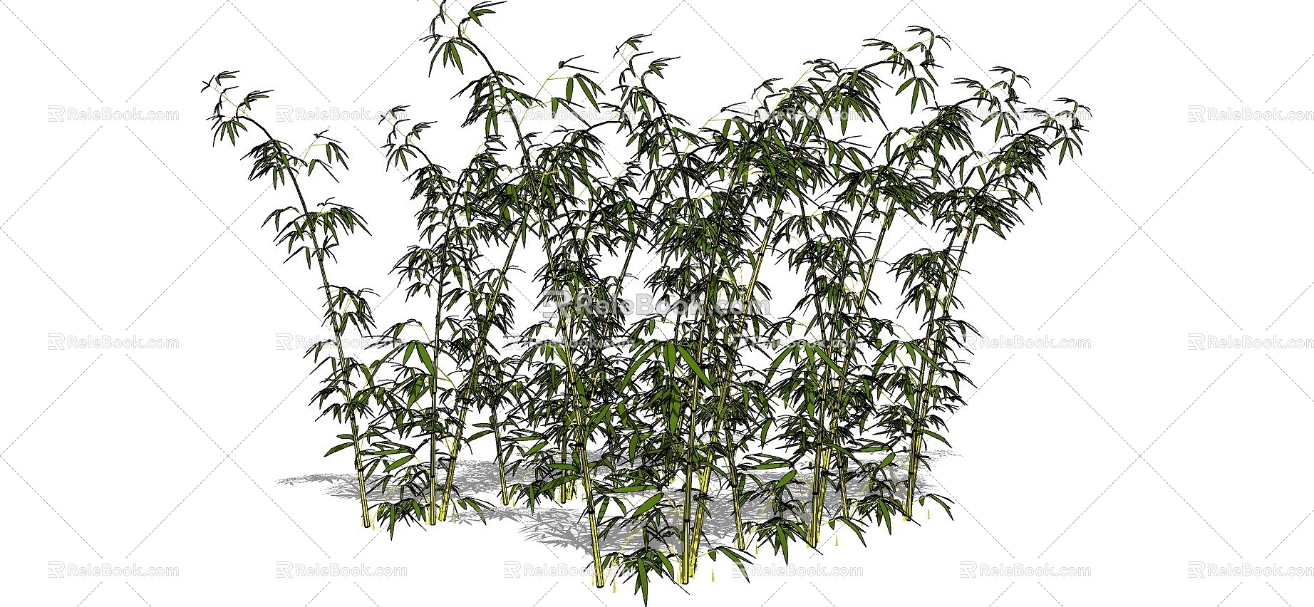 Bamboo 3d model