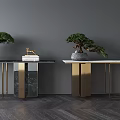 Stylish Console Table With Golden Frame Marble Top Bonsai Tree And Decorative Books 3d model