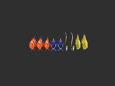 Colorful Aquatic Animals Featuring Orange Blue And Yellow Fish Arranged On Dark Background 3d model